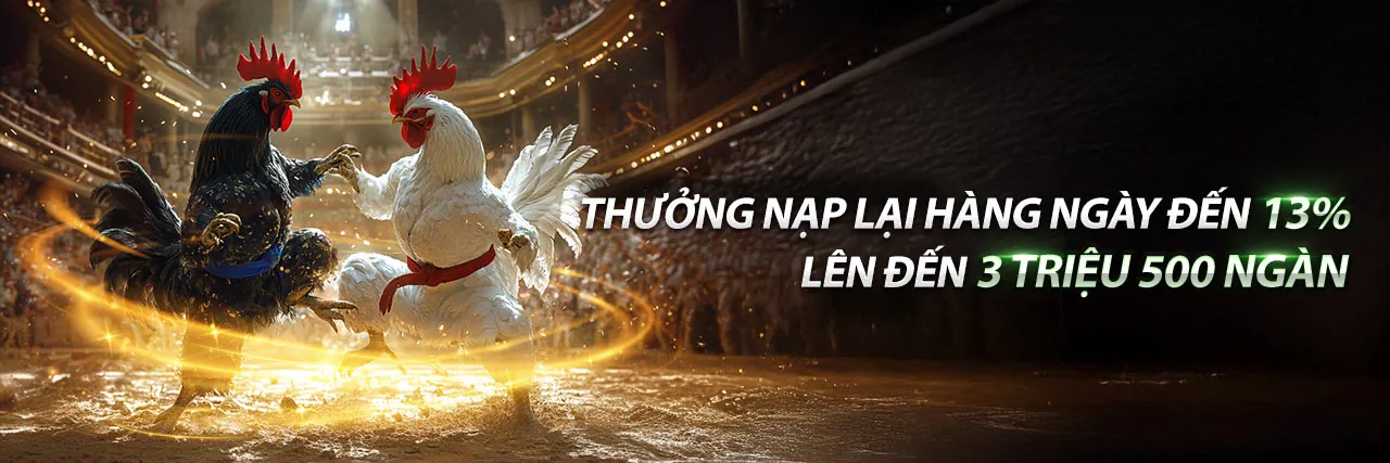 Đá Gà Trực Tuyến tại 365bet nhà cái